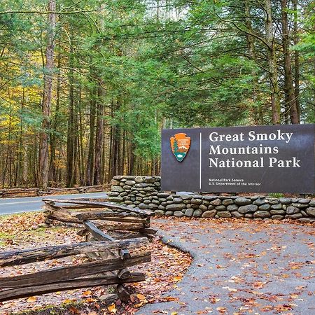 Big Sky Lodge II ガトリンバーグ エクステリア 写真